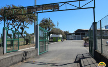 ​Stade, terrain, piscine... Nouvelles règles du jeu à Papeete