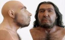 Génétique: humains modernes et Néandertal ne se sont peut-être pas mélangés