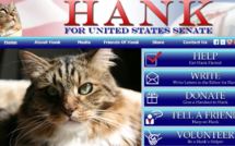 Hank, chat candidat au Sénat américain en 2012