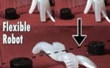 Un robot mou qui se gonfle et se dégonfle pour marcher et se camoufler