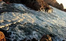 Les milieux marins d'Australie sévèrement dégradés par le réchauffement