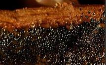 Formation: Vanille de Tahiti, devenez préparateur