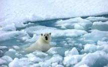 Arctique: vers une fonte record de la calotte glaciaire dans deux semaines