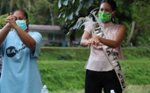 ​Des dons et une Miss contre le coronavirus à Papara