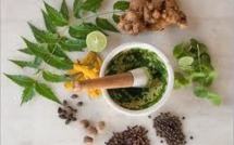 USA: risques de contamination au plomb par des médicaments traditionnels