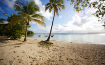 En Guadeloupe, les plages rouvrent sans touriste, comblant un besoin "presque vital" des habitants