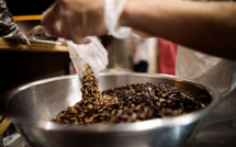 Au Japon, un plat typique de nouilles repensé avec des insectes