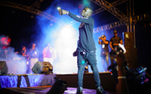 Coronavirus: les stars de la musique africaine "unies" lors d'un grand concert virtuel
