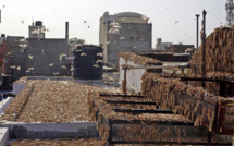 Pire invasion de criquets en Inde depuis 1993