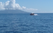 Les premières baleines vues à Taapuna