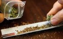 Fumer du cannabis depuis l'adolescence endommage irréversiblement le cerveau