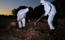 Virus: six millions de personnes contaminées dans le monde, forte propagation au Brésil