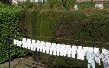 La réussite sociale expliquée par la taille de la famille