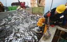 Wellington annonce un fonds de protection des pêches dans le Pacifique