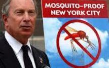 Virus du Nil occidental: le bilan des morts s'alourdit aux Etats-Unis