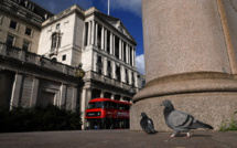 La course de pigeons, premier sport à reprendre en Angleterre