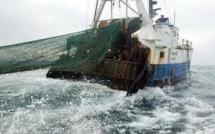 Pêche: le paysage sous-marin littéralement terrassé par les chaluts