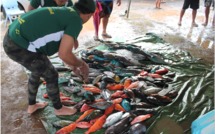En mémoire d’un « géant » de la pêche: 1er mémorial TEIVA TERII et 2ième journée du championnat de Polynésie par équipes