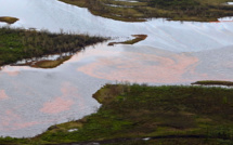 Pollution dans l'Arctique russe : le nettoyage prendra "des années"