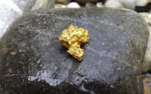 Fin d'une chasse au trésor qui a tenu en haleine l'Amérique