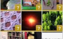 Une application permet de signaler des contrefaçons depuis son smartphone