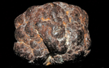 Exploitation minière en eaux profondes : la précaution est recommandée