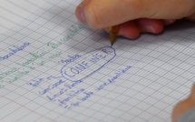 Corse: un recours pour la réouverture des collèges avant septembre sera examiné "en septembre"