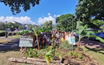 ​"Ne plantons pas de béton mais plantons à manger"