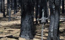 A Tchernobyl, des scientifiques mesurent le désastre après des incendies record