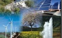 Le gouvernement veut donner un nouveau souffle aux énergies renouvelables
