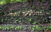 A Bali, un village aux rites funéraires macabres résiste au changement