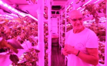 Les fraises hightech de la presqu’île