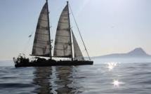 Tara-Océans: Londres avant Paris et...l'Arctique