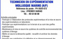 IFREMER RECHERCHE UN TECHNICIEN EN EXPERIMENTATION MOLLUSQUE MARINS (H/F)