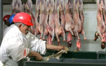 L'agrément d'un abattoir ovin de l'Aveyron suspendu après une vidéo de L214