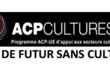 Intégration culturelle dans la zone ACP: Bruxelles finance plusieurs projets océaniens