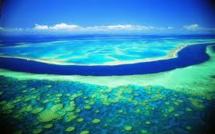 L'Australie admet sa "négligence" dans la protection de la Grande barrière