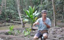 Inscription au patrimoine mondial de l’UNESCO : les Marquises organisent leur séminaire des experts du 5 au 13 octobre 2012