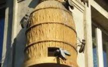 Il y aura des ruches au Palais-Bourbon