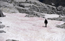 La mystérieuse neige rose d'un glacier des Alpes italiennes