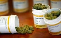 Ces malades qui, face à la douleur, consomment du cannabis