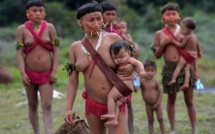 Brésil: la culture indigène menacée par le coronavirus