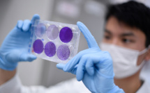 Covid-19: l'immunité pourrait disparaître en quelques mois, suggère une étude