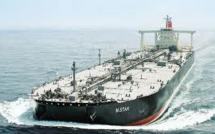 Des garde-fous pour protéger la biodiversité en haute mer