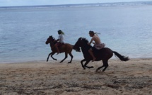 Des chevaux en guise de Heiva