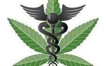 Un colloque à Strasbourg pour débattre du cannabis sur ordonnance