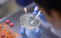 Covid-19: résultats encourageants pour deux projets de vaccin