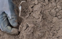 Le peuplement de l'Amérique du Nord remonte à 30.000 ans