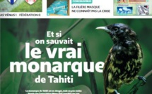 LES NOUVELLES N°16648 du 24 juillet 2020