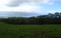 Secours en montagne pour deux personnes perdues sur le plateau de Taravao